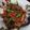 Cooksnap ohmydib semasa beliau membuat Daging Goreng Pedas bersama Buncis.
