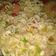 Cooksnap dari Mama Essy untuk resep Mie Tek-Tek Kuah Pedas