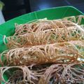 Cooksnap dari Santi mizanti untuk resep Sarang laba laba
