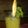 Vaishali Arora's cooksnap of when they made Aam panna Summer cooler.