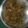 Nipi Arora's cooksnap of when they made Chow mein.