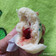 Cooksnap dari ALuna Andrea S Tian untuk resep 74. Bakpao Praktis (Takaran Sendok)