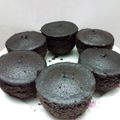 کوک اسنپ 𝑍𝑎ℎ𝑟𝑎ʕ•ᴥ•ʔ❥︎ بعد از امتحان کردن کیک شکلاتی🍫🍰.