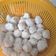 Cooksnap dari kartika suryani untuk resep Bakso ayam gurih