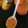 Annie Sircar's cooksnap of when they made অরেঞ্জ মার্মালেড (orange marmalade recipe in Bengali).