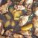 Cooksnap dari orangejuiceok untuk resep Semur Ayam Sederhana