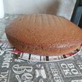 El cooksnap de Nanci Ruso cuando hizo Bizcochuelo de chocolate 1 2 3 4 fácil y rápido.