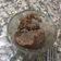 El cooksnap de Santiago Flor Molina cuando hizo Torta de vainilla en taza.