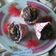 Cooksnap dari Deffi Mom's Ahnaf untuk resep Bolkus wortel coklat (eggless)