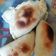 El cooksnap de Doli Doly cuando hizo Empanadas de atún y queso.