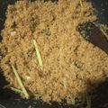 Cooksnap dari Nur Fadil Dil Din untuk resep Serundeng kelapa