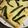 El cooksnap de María Fernanda cuando hizo Pastel de elote con rajas poblanas🌹.
