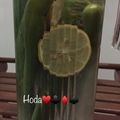 صورة من .. هـ❣ـہدي كـ❣ـہآمـ❣ـہلَ .2018..سبحان الله، شاركها بعد تجربة وصفة طريقة عمل مخلل الفلفل