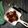 Vaishali Vora's cooksnap of when they made પનીર ચીલી ડ્રાય.