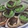 Cooksnap dari Bundawanda Roka untuk resep Bolu Air Mini seribuan ide jualan