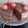 El cooksnap de isabeldecordova@gmail.com cuando hizo Bizcocho de plátano y chocolate, sin Gluten, sin Lactosa.