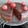 El cooksnap de isabeldecordova@gmail.com cuando hizo Bizcocho de plátano y chocolate, sin Gluten, sin Lactosa.