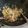 Cooksnap dari Putri Shima untuk resep Fettucini Smoked Beef Carbonara with brokoli