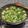 Cooksnap dari Nurie Lubis untuk resep Sup Brokoli telor puyuh
