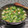 Cooksnap dari Nurie Lubis untuk resep Sup Brokoli telor puyuh