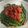 Cooksnap dari SafY untuk resep Plecing Kangkung khas Lombok