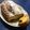 El cooksnap de Marcelo Meler cuando hizo Plum cake.
