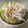 賴麗如 的 一菜二吃之絲瓜盅蒸蛋 cooksnap