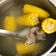 Darla Jylpig Ren 的 玉米排骨湯 cooksnap
