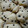 El cooksnap de Andreana cuando hizo Galletas para el mate fáciles.