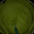 El cooksnap de Paula Mariana Carrasco Silva cuando hizo Puré de brócoli | Método grez.