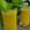 Sarmistha Paul's cooksnap of when they made ম্যাঙ্গো লস্যি (Mango Lassi,, Recipe in Bengali).
