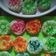 Cooksnap dari Niaaries untuk resep Kue Sengkulun