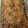 alina Miller's cooksnap of when they made Taco Mac n' Cheese.