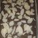 Cooksnap dari Siti Yudianti untuk resep Chewy Brownies Panggang dan Tips Shiny Crush keluar