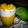 Cooksnap dari Sandra Risma untuk resep King mango indonesia