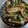 Binita Patel's cooksnap of when they made Paneer Chilli Dry.