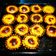 Cooksnap dari Juliana Chang untuk resep The best Hokkaido Cheese Tart