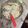 Wei Min 的 泰式綠咖哩豬 cooksnap