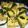 Vibha Vibha's cooksnap of when they made Dhokla.