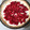El cooksnap de Giuly cuando hizo Tarta dulce de frambuesa (receta incluida masa para tarta dulce).