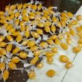 Cooksnap dari NengHarun untuk resep Dodol Mangga Sederhana