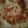Shobha kapoor's cooksnap of when they made Masala paratha.