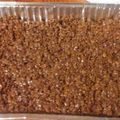 afonepilot82's cooksnap of when they made Rice Krispies Treats.