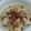 Cooksnap dari cookie run untuk resep Opor ayam simple