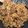 Cooksnap dari Diann Pradipta untuk resep Kwetiaw goreng ala abang2