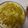 Ragini Sukla का कुकस्नैप जब उन्होंने वेजिटेबल दलिया खिचडी (Vegetable daliya khichdi recipe in Hindi) बनाया था।