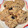 El cooksnap de Norali cuando hizo Galletas de avena 🥣 receta clásica ideal principiantes.