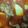 Saba Tahseen's cooksnap of when they made Lauki ghost.
