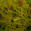 Cooksnap dari Akira's mom untuk resep Tumis Mie Kuning
