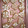 El cooksnap de Diana_ 4527 cuando hizo Galletas de Navidad.